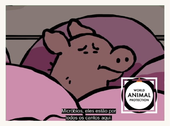 WORLD ANIMAL PROTECTION | Impacto Sócioambiental