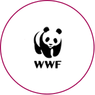 WWF